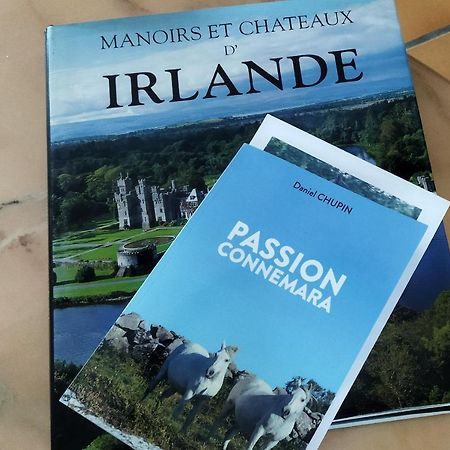 Maison De Campagne Au Coeur D'Un Elevage De Poneys Connemara Le Landreau Екстер'єр фото