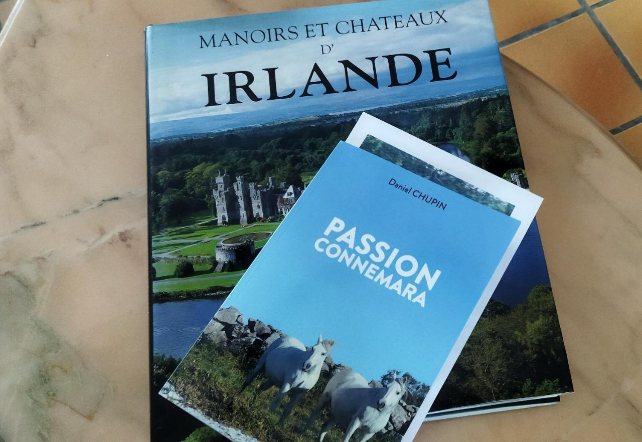 Maison De Campagne Au Coeur D'Un Elevage De Poneys Connemara Le Landreau Екстер'єр фото